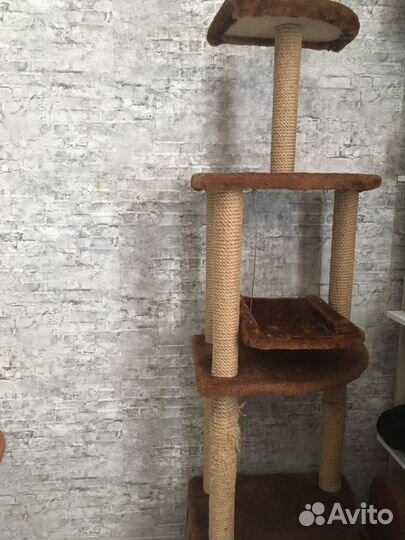 Когтеточка с домиком и лежанкой