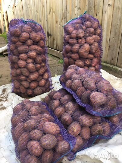 Картофель с доставкой