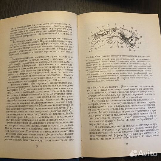 Книги по ветеринарии