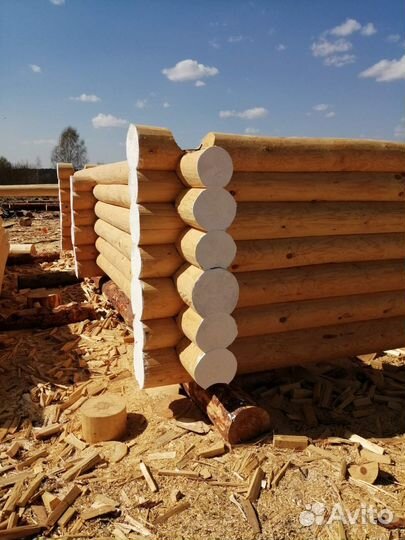 Срубы из зимнего леса