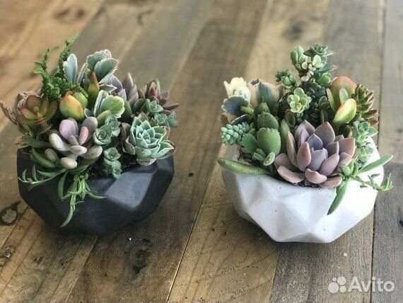 Копозици из цветов