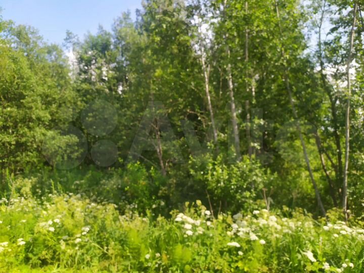 Участок 10 сот. (СНТ, ДНП)
