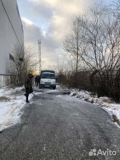 Опиловка деревьев и измельчение веток