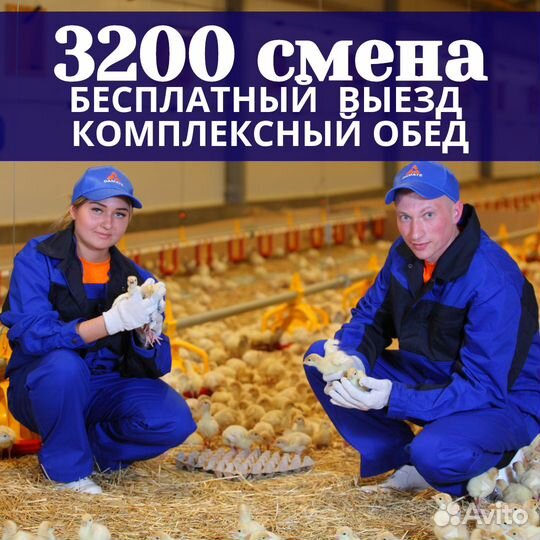 Вахта Пенза бесплатный проезд рабочий вакцинатор