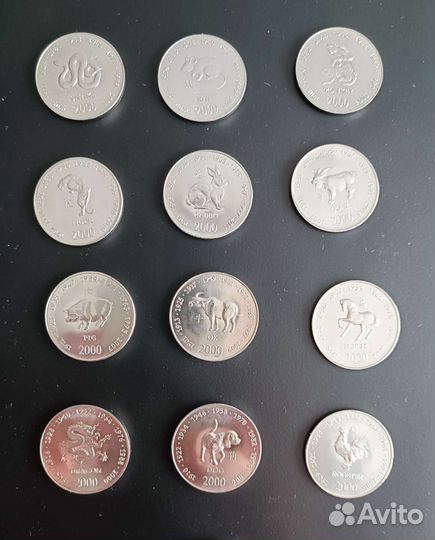 Монеты Сомали 10 шиллингов. Китайский гороскоп