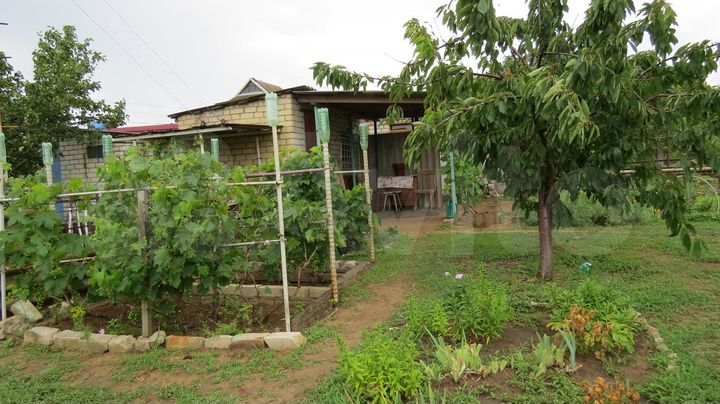 Дача 10 м² на участке 6 сот.