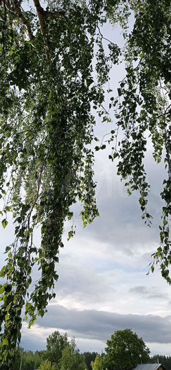 Дом 60 м² на участке 10 сот.