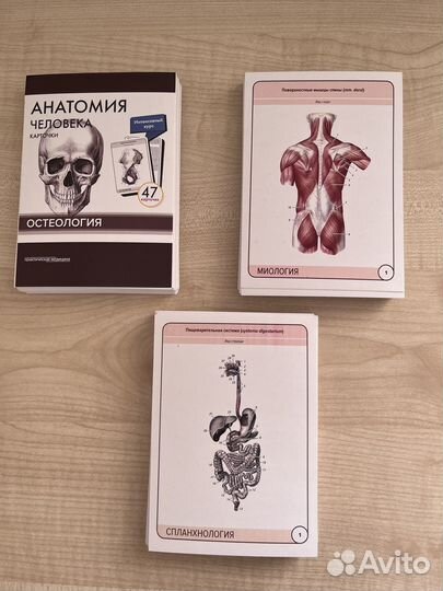 Карточки по Анатомии