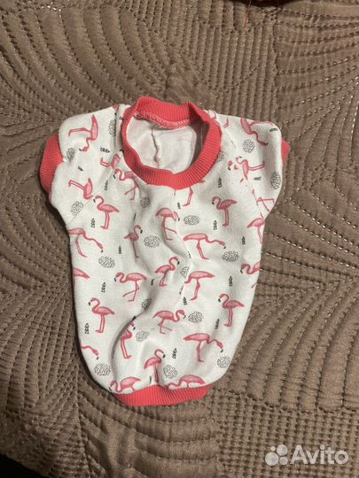 Вещи для щенков