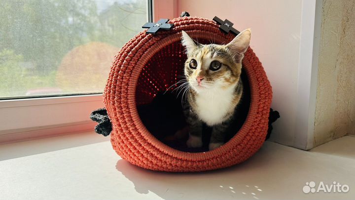 Дом лежанка для кошки