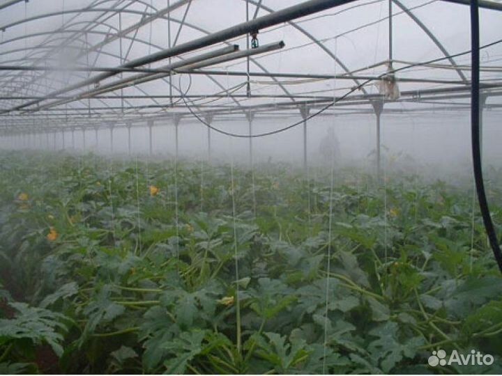 Система тумана для теплиц - сиод