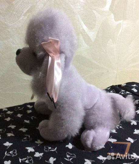 Собака в добрые руки)и лежанка для собак