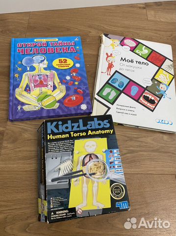 Книга с окошками для детей. Строение человека