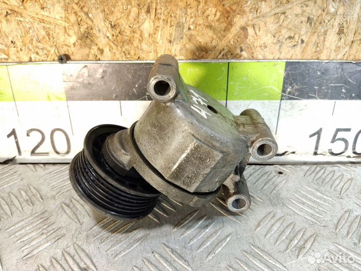 Натяжитель ремня Ford Focus 2005-2008