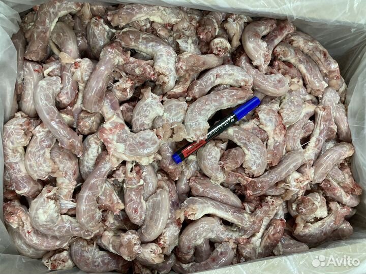 Курицы цб ииндейка