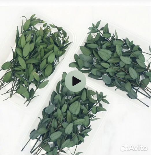 Мыльные розы, гортензия, сухоцветы