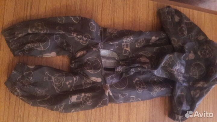 Одежда для собак