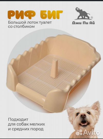 Лоток туалет для собак