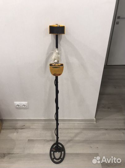 Металлоискатель garrett ace 250в аренду