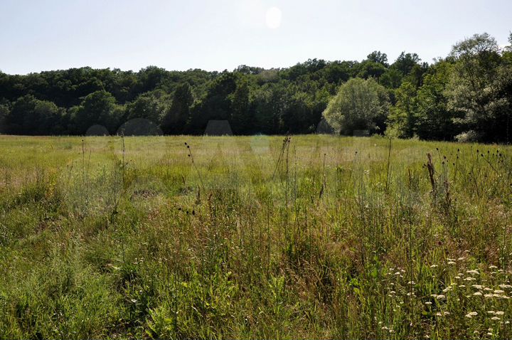 Участок 1,5 га (СНТ, ДНП)