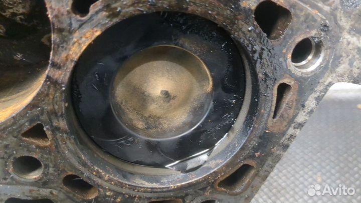 Блок цилиндров Opel Vivaro, 2008