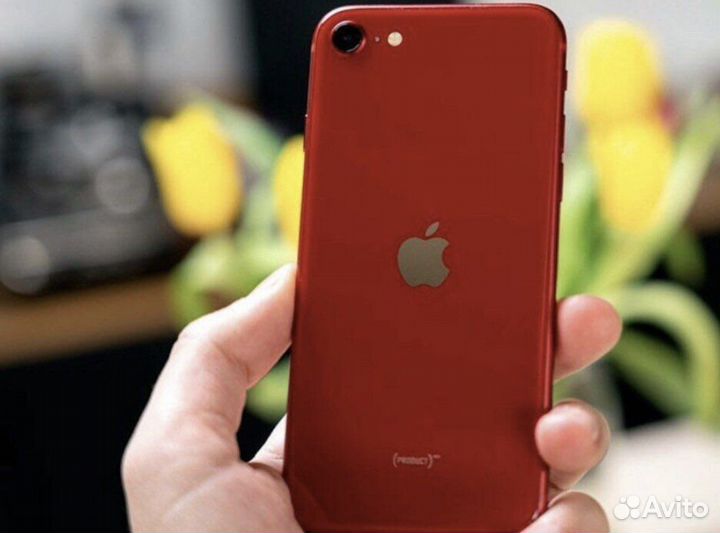 iPhone SE (2022), 256 ГБ