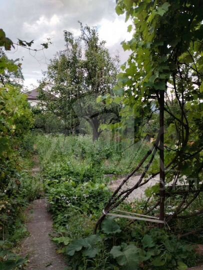 Участок 5 сот. (СНТ, ДНП)