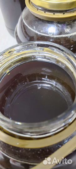 Мёд август 2023