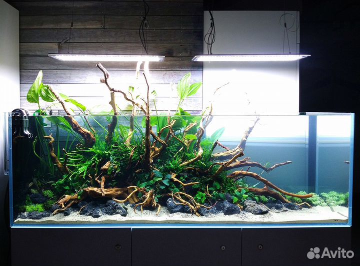 Аквариумы Дизайн обслуживание запуск аквариумов