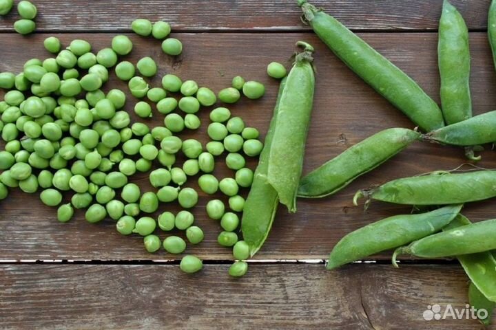 Горох овощной Адагумский (семена)