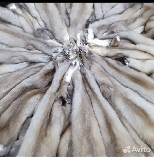 Шкурки куницы 3 шт