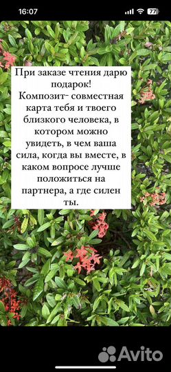 Разбор анализ карты human design