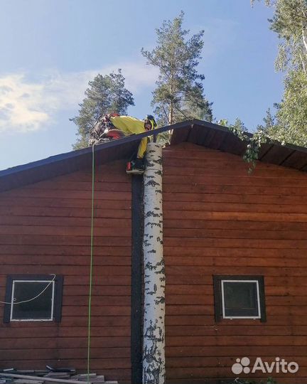 Спил деревьев Сысерть, Ревда, Сарапулка, Полевской