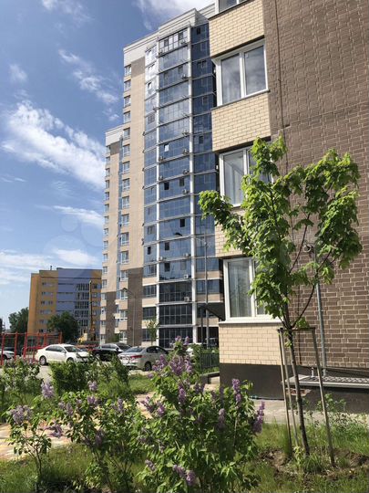 2-к. квартира, 82 м², 15/19 эт.