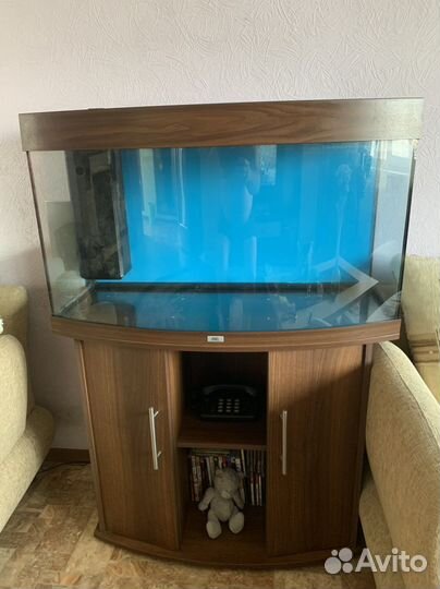 Аквариум с тумбой juwel панорамный 180