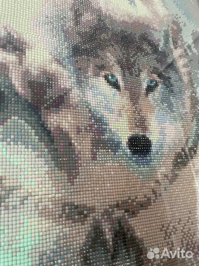 Готовая картина алмазная мозаика волк