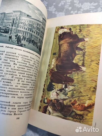 Н.Н.михайлов 