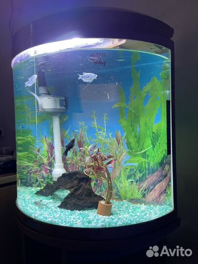 Аквариум с тумбой