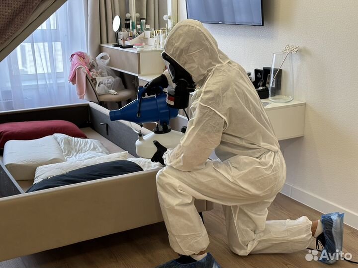 Уничтожение клопов тараканов дезинфекция