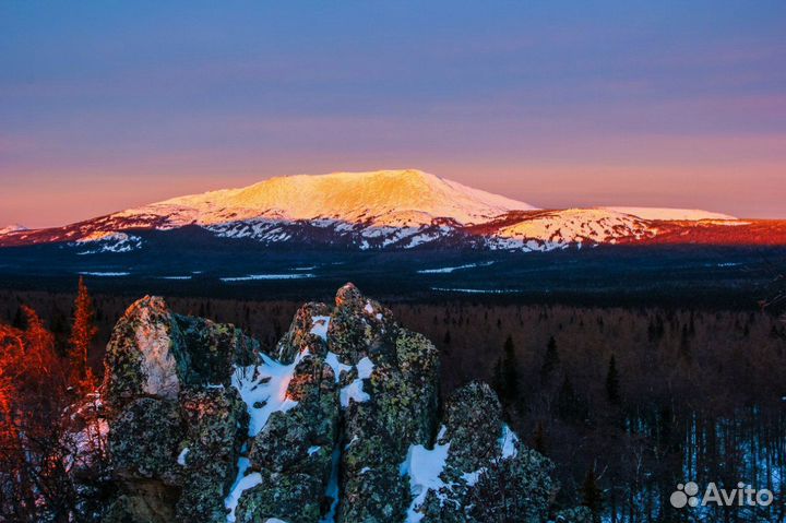 Право соучредителя