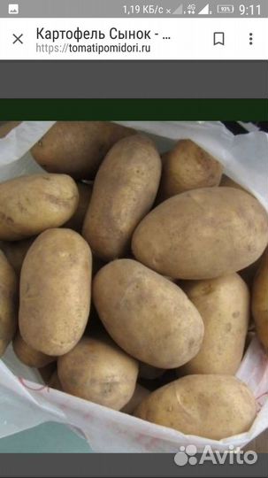 Картофель сортовой семенной