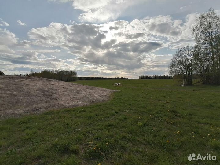 Силос клевер тимофеевка