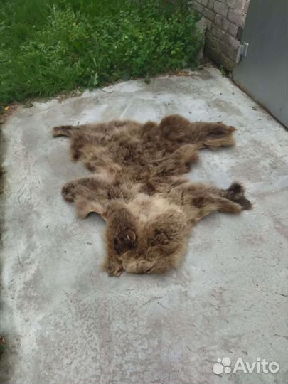 Шкура медведя имитация