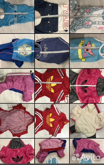 Одежда для собак