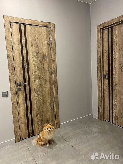 Межкомнатная дверь в дом