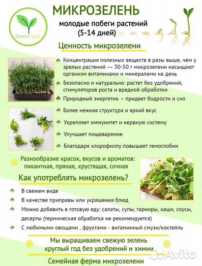 Сок витграсс и микрозелень