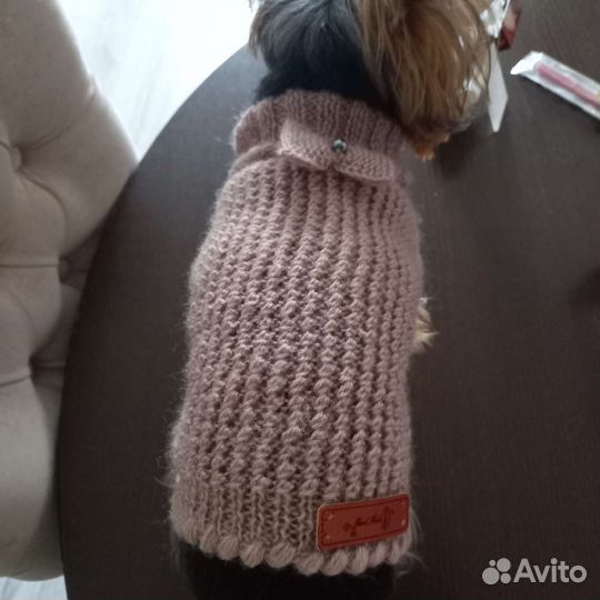 Вязаная одежда для маленьких пород собачек