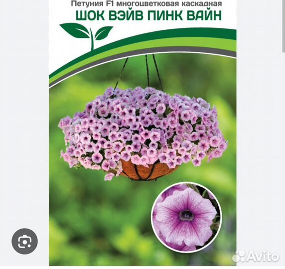 Петунья ампельная и каскадная