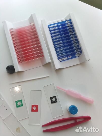 Учебный цифровой микроскоп Celestron