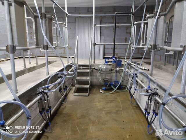 Доильный зал Ёлочка 2х4